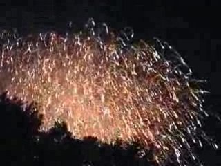 Feu d'artifice les bouquets