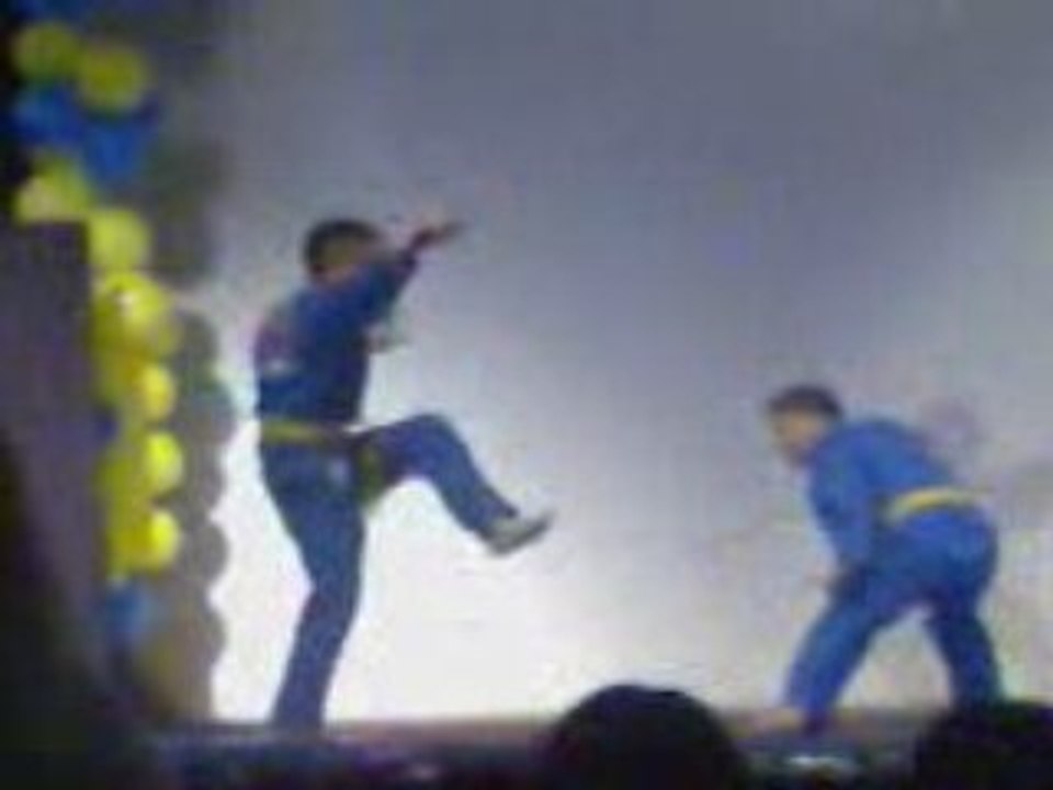 Démo sabre viet vo dao