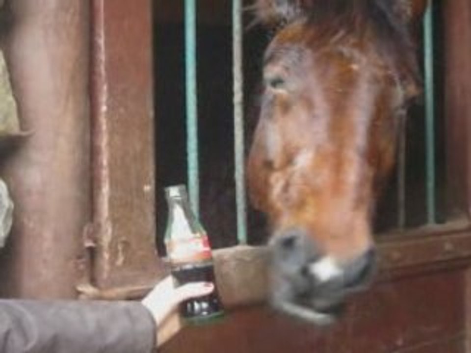 Edison aime le coca