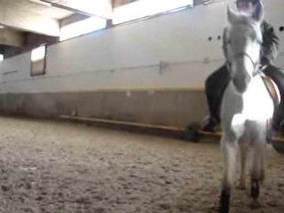Valentin et Gribouille