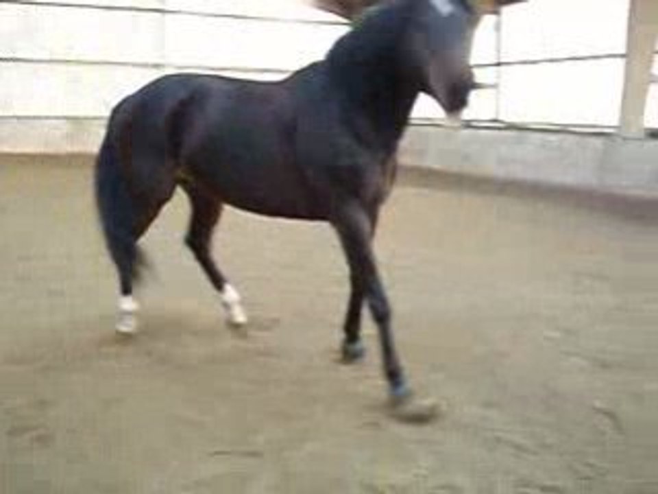 Jazz 4/01/09