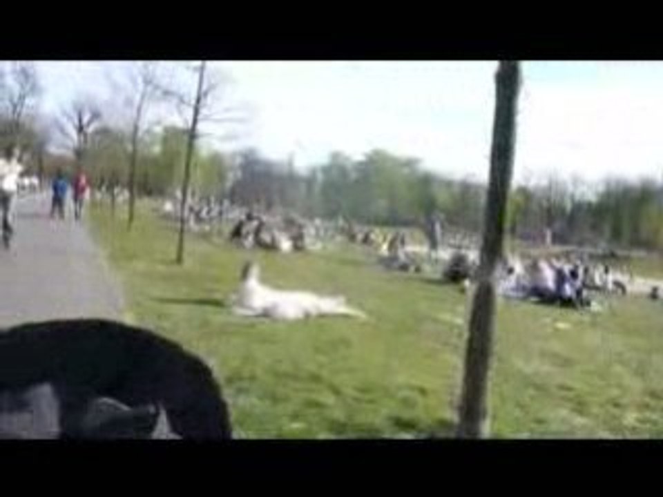 Balade dans le Volkspark Friedrichshain