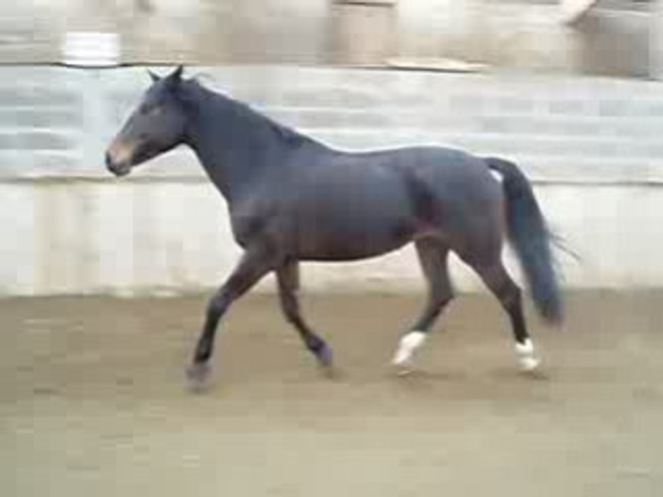 Jazz 4/01/09