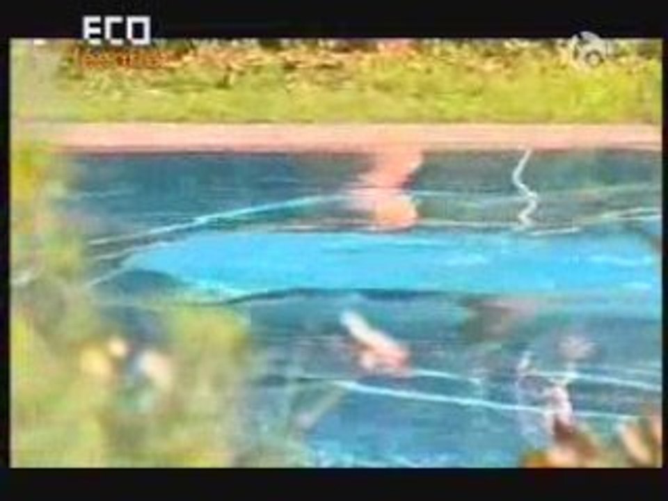 Riad von Marrakesch, Marokko - Riad de Marrakech, Maroc