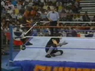 Summerslam 1993 - Undertaker vs Giant Gonzales