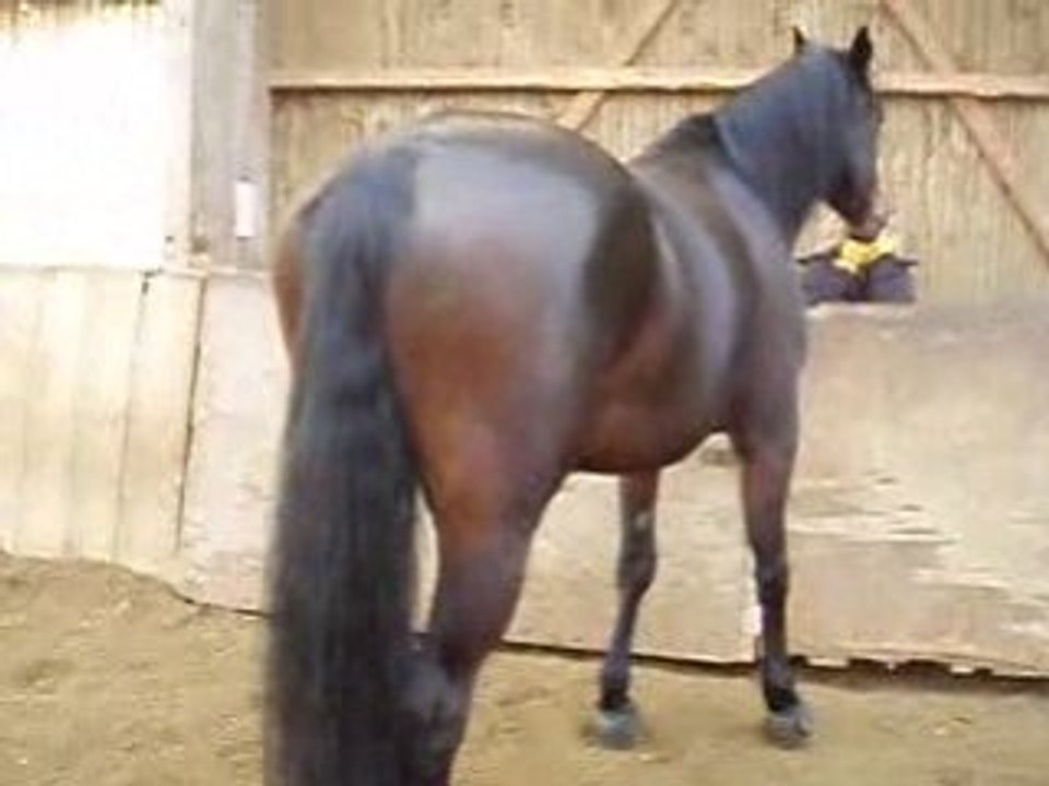 Jazz 4/01/09