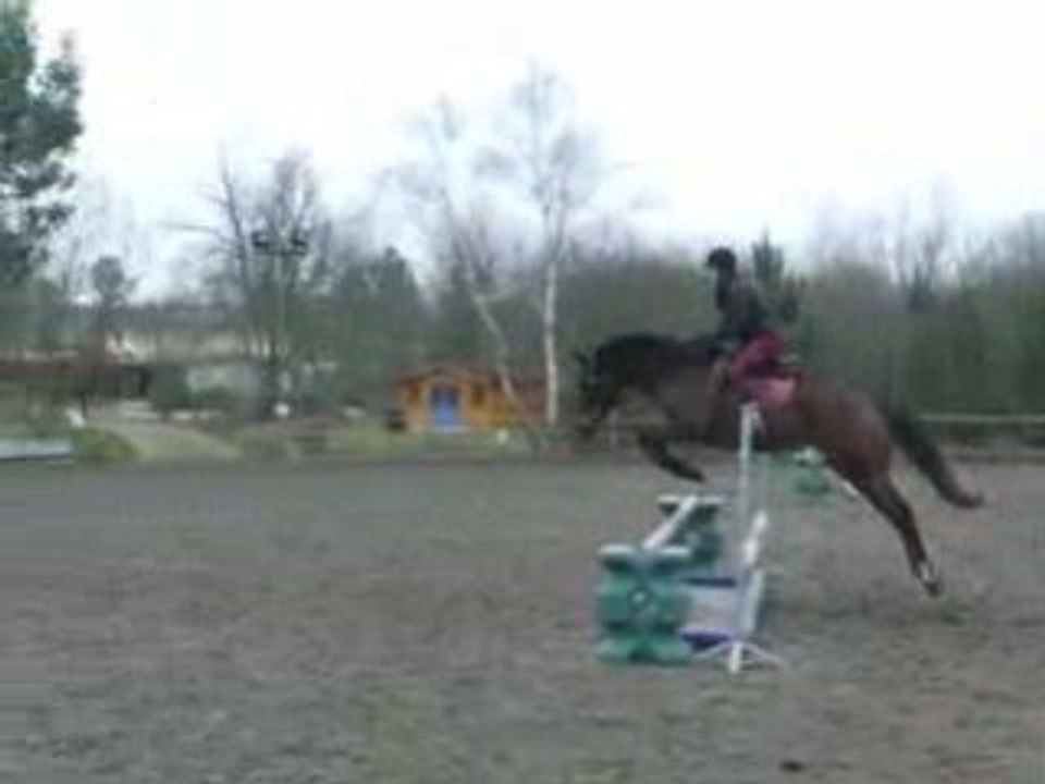 2005_0117BALY0003