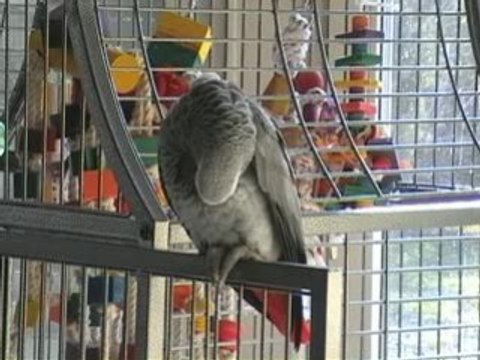 Qu'est ce tu fais attention c'est des bêtises