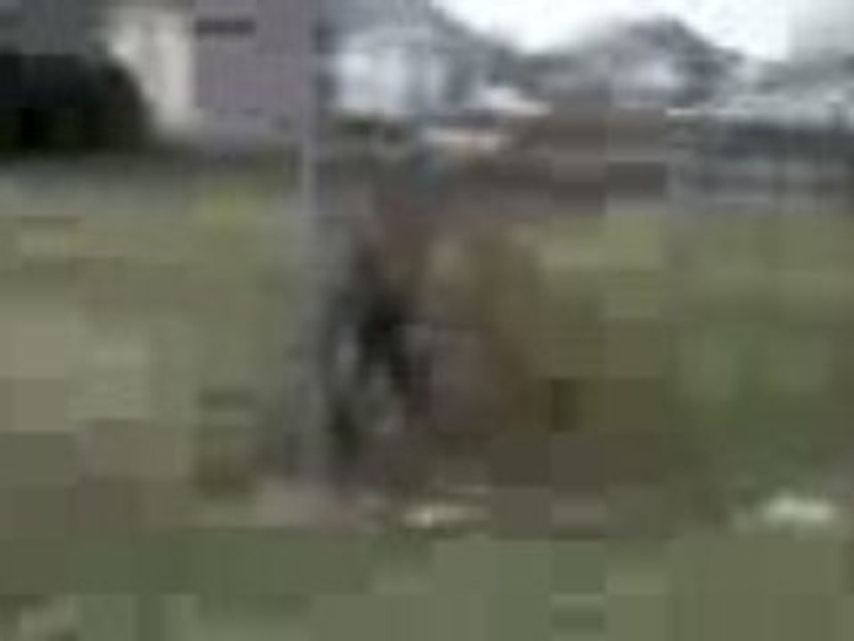 foot entre amis