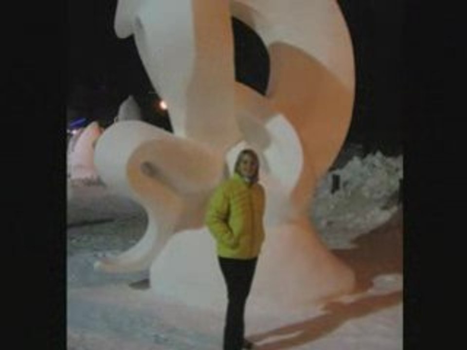 VALLOIRE  : Clin d'oeil sur les sculptures