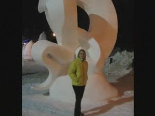 VALLOIRE  : Clin d'oeil sur les sculptures