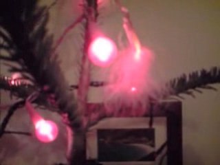 Noël 2008 (souvenir)