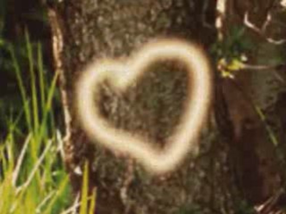 ELVEDA DIYECEKSIN, Aykut, Aykut ilteR, eski defter, zuzu, sa