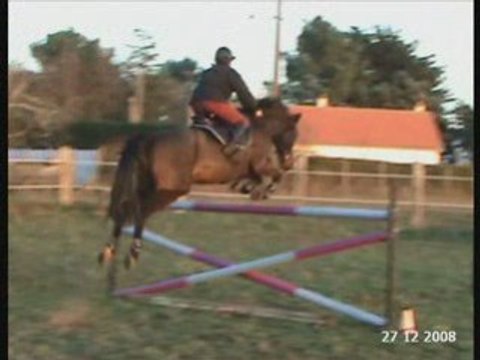 Séance obstacle du 27-12-2008