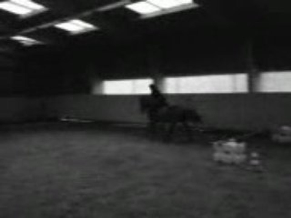 MOV00287