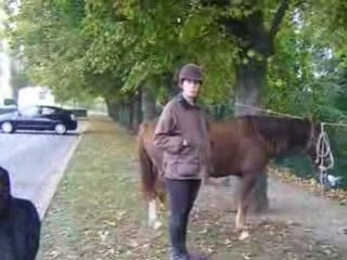 Fete du cheval 25 octobre