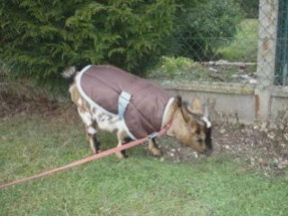 séance de saut avec mes 2 amour!!