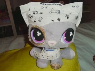 ✿ pour mon chat vips Gael ✿