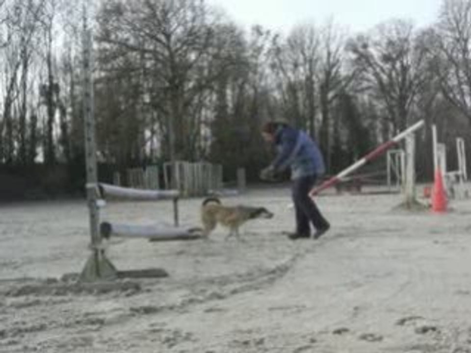 Chance saut d'obstacle