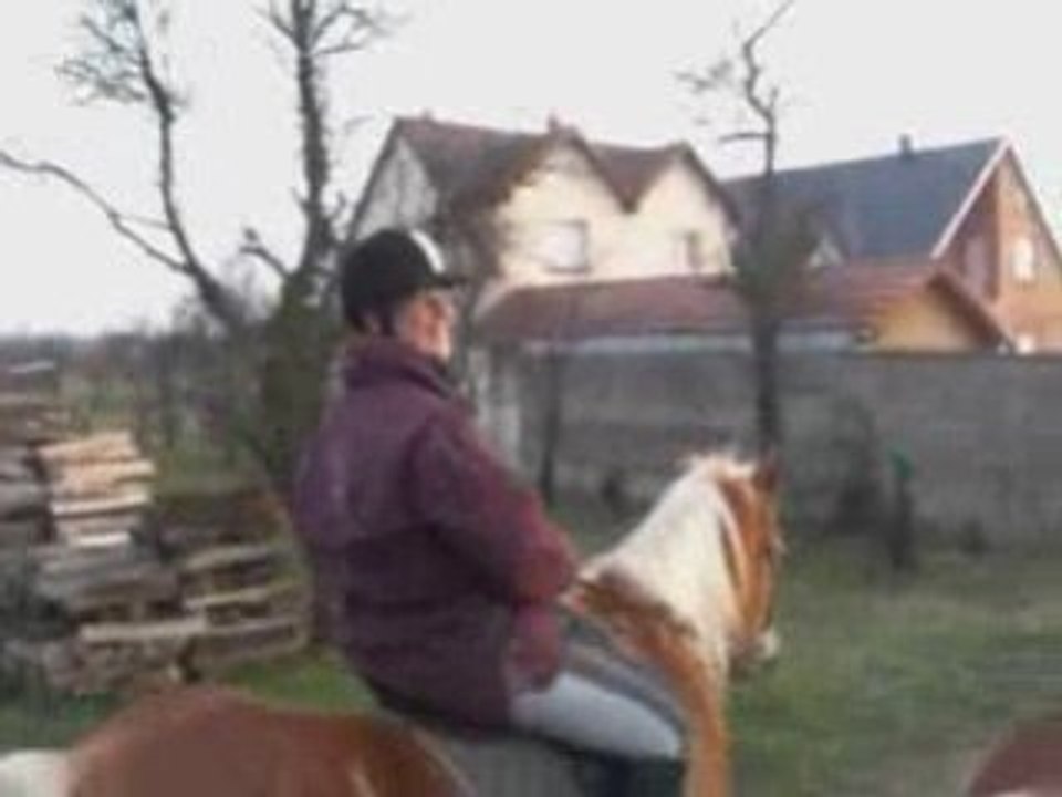 Balade 2 janvier