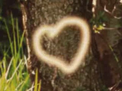 ELVEDA DIYECEKSIN, Aykut, Aykut ilteR, eski defter, zuzu, sa