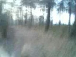 Pilou trot galop moncé