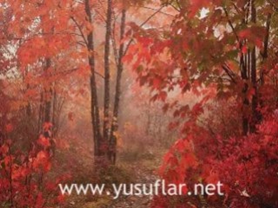 Cin Suresi Dinle Dailymotion Video