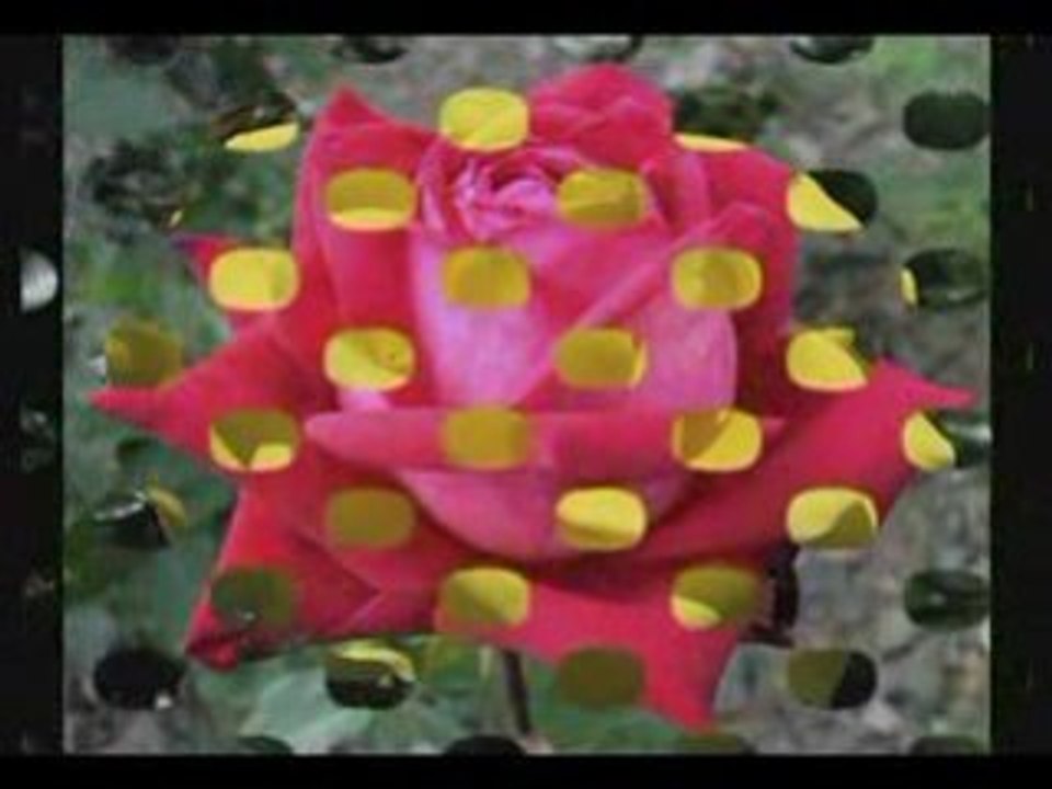 Yo Queria - Cristian Castro