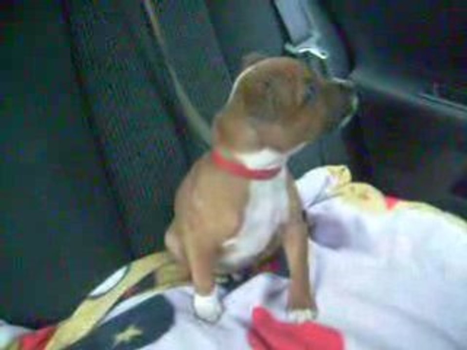 Bouly video chante