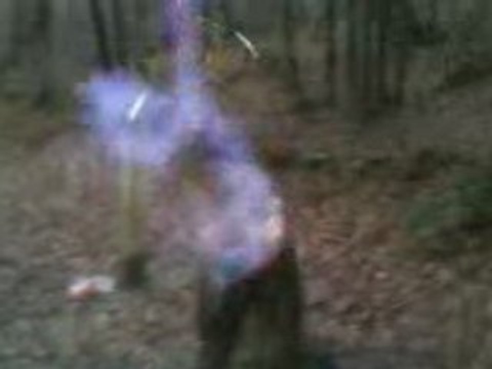 une fusée dansun tronc d'arbre