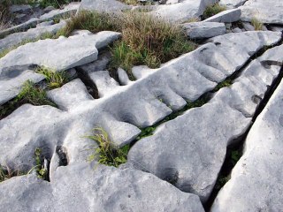 Geobiologie sacrée en Irlande Les Burren