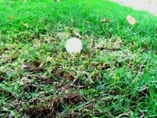 Funny Golf Videos Ellen Degeneres uses Big Daddy Driver