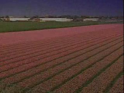 Aerosmith - I Don't Wanna Miss A Thing