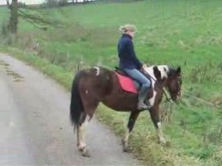 Decembre16 2008 balade meaganne moi amadeus indiana