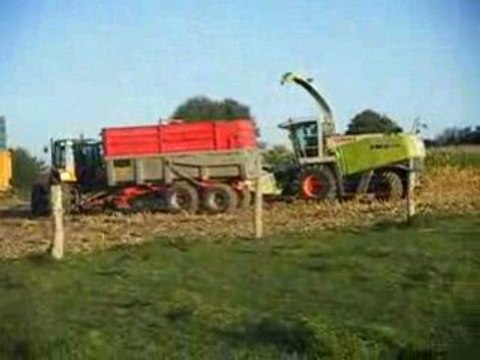 Ensilage de maïs 2008