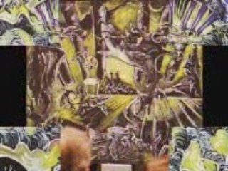 the STORY OF ZEBRA HANS THELEN 2008