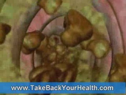 80 Enzymes Identified. Digestive, Systemic and Metabolic