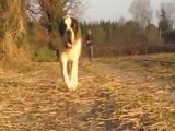 2 boulets de canons lancés à pleine puissance