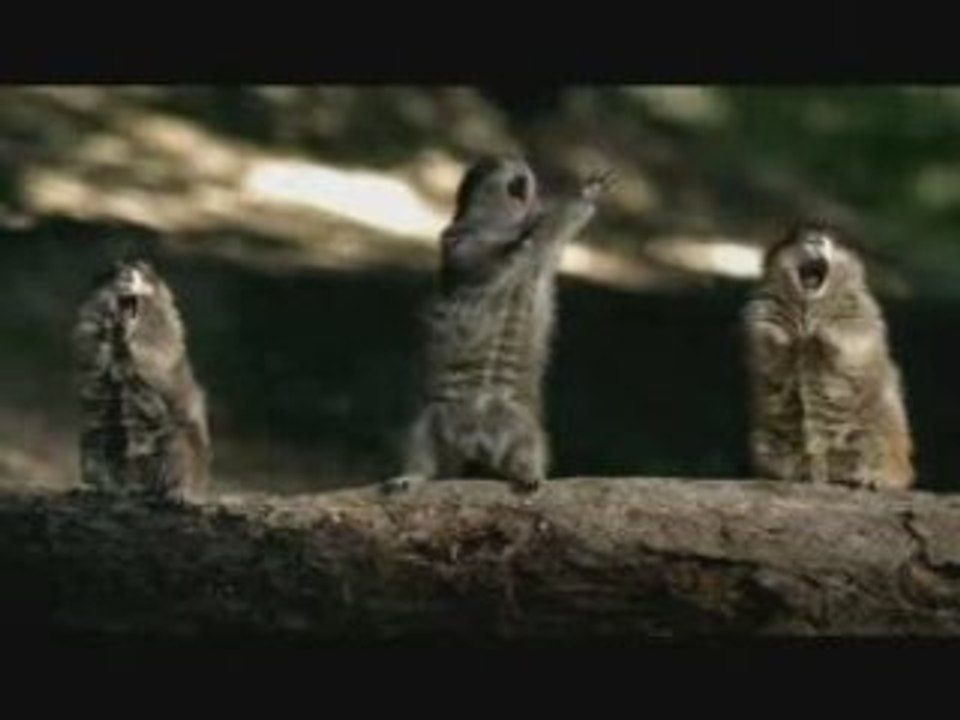 rire marant blague humour rigolo