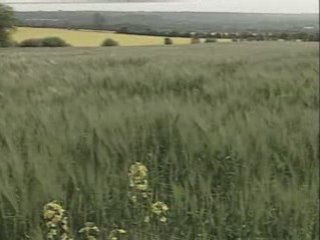 Wildlife helps mental illness