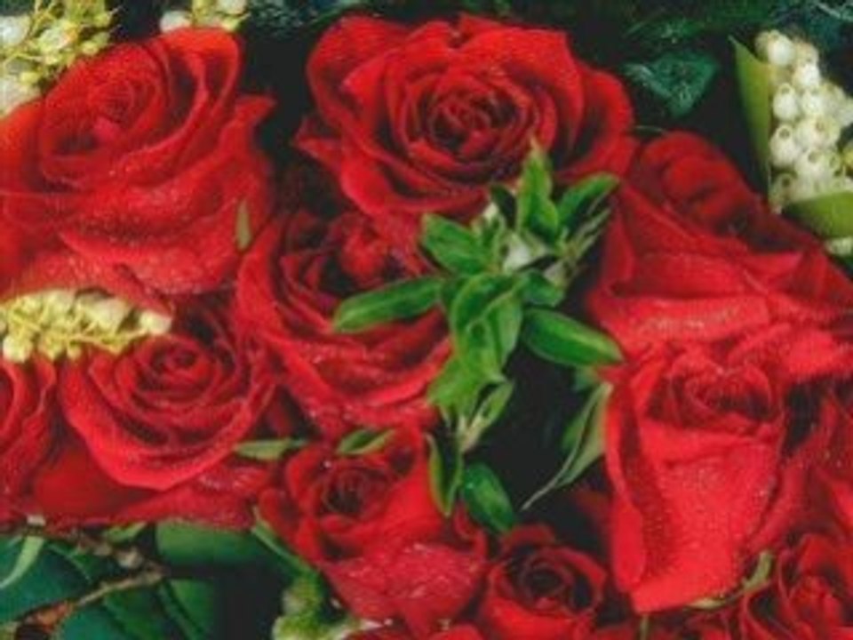 diclekent birey dersanesi bazı hocaları ve çiçekler hayalet_9060@hotmail.com