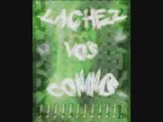 Jour d'automne - jessy matador