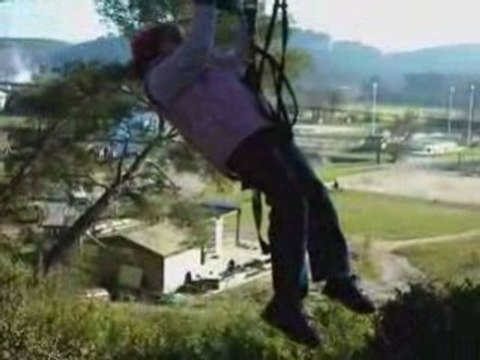 Accrobranche andrea dans les arbres