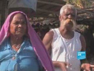 Les vaches sacrées ont leurs anges gardiens