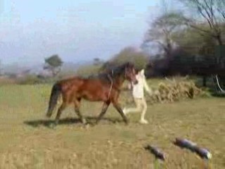 DSCF7456
