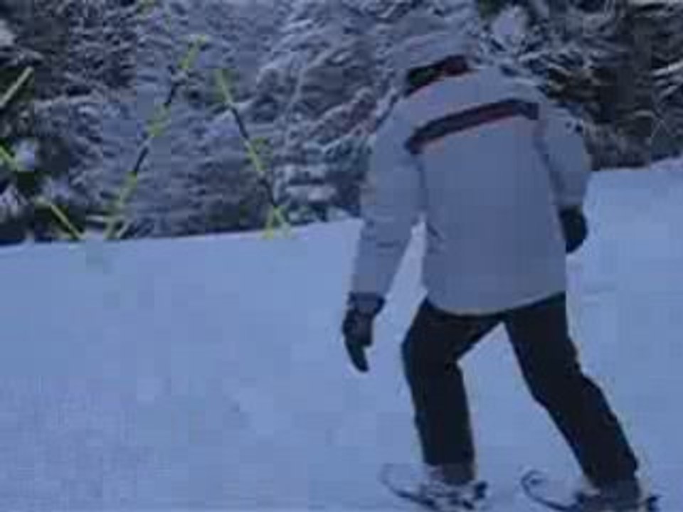 Rom's et Lolo à la Bresse