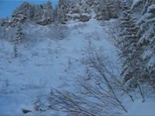 Présentation de arno nico vince