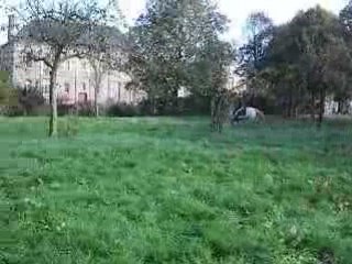 vacances de la toussain 2008