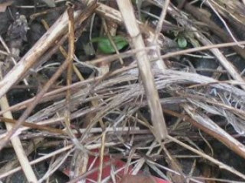 Exploding addictions