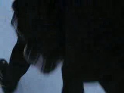 aie aie aie natacha qui a mal xD dsl dsl dls -_-'